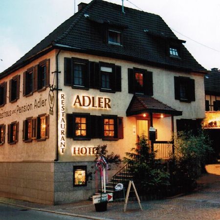 Adler Gaststube Hotel Biergarten Бад Рапенау Екстериор снимка
